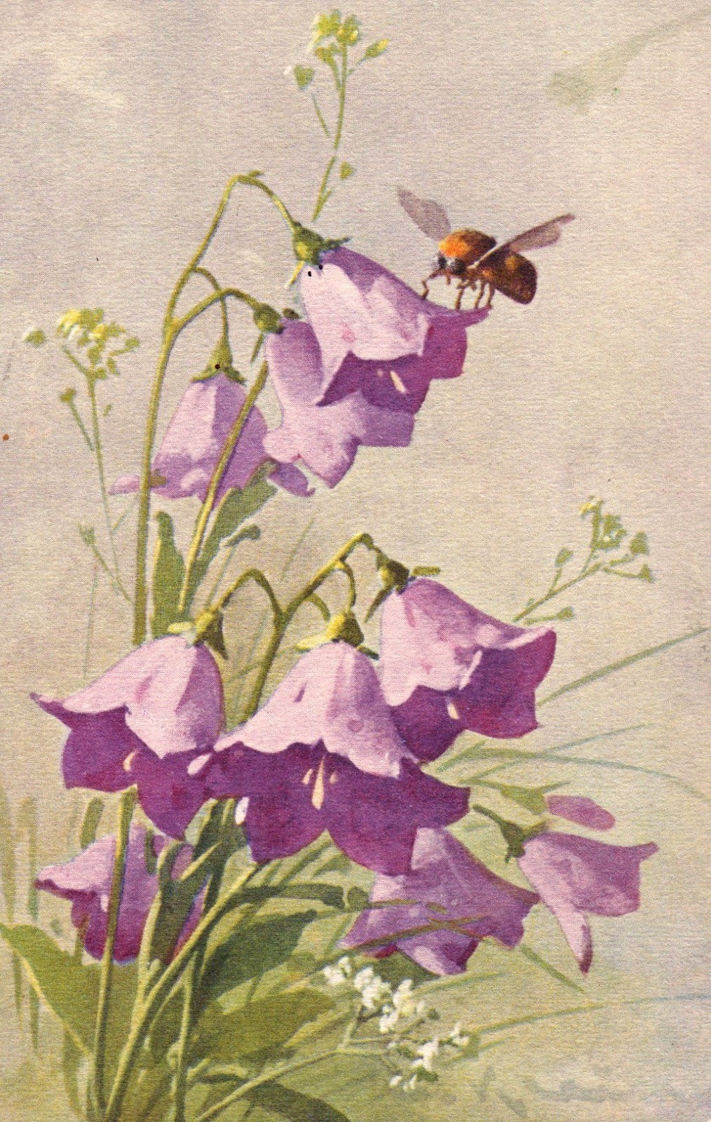Artist Signed Catherine Klein Bell Purple Flowers Bees Switzerland Series 1106