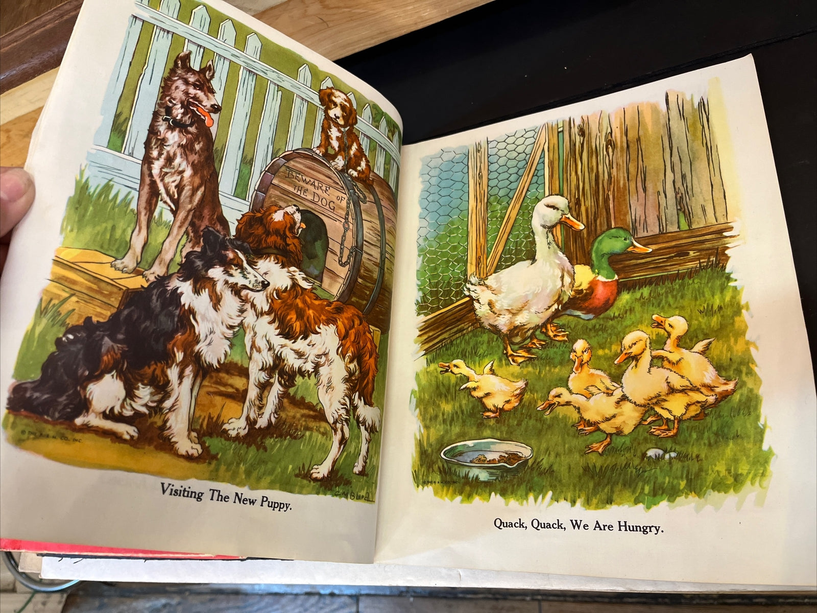 RARE 1927 OUR ANIMAL FRIENDS, Platt and Munk, LINEN Very Good +++ condition