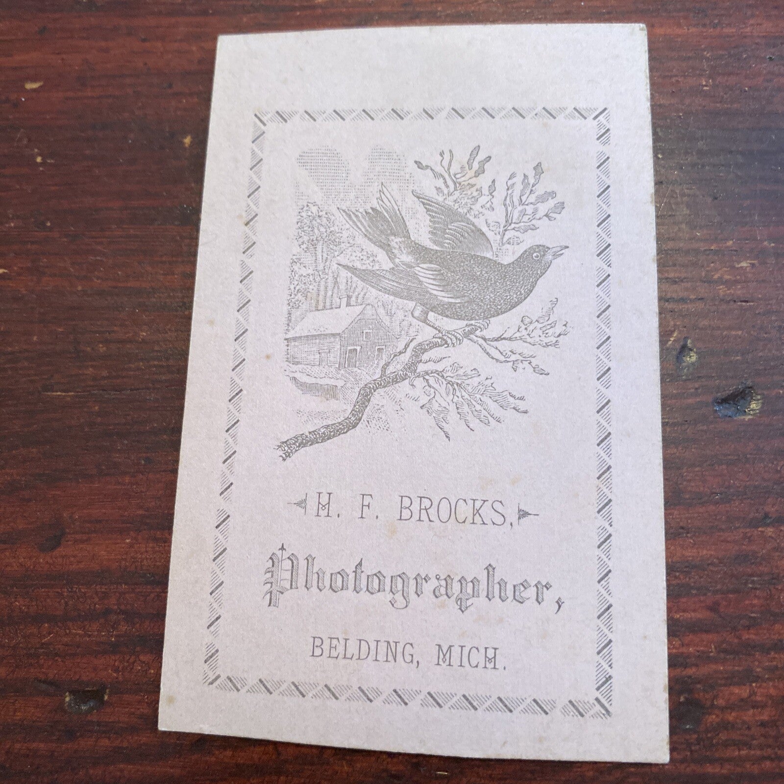 Real Photo CDV  Young Victorian  Woman Photography Belding  MI Michigan HF Brock