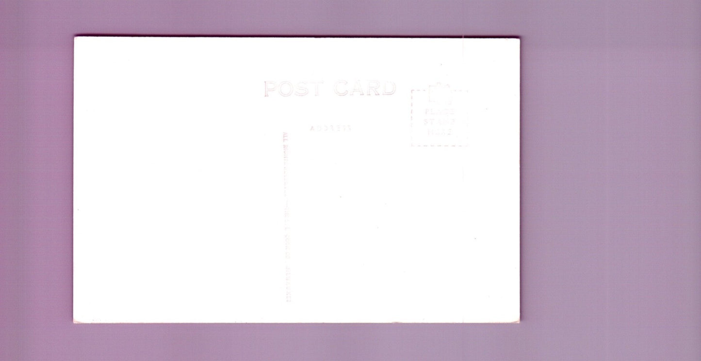 Lake of the Clouds Porcupine Mountains State Park in Michigan MI Postcard