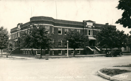 Ye Olde Towne Hall Newberry MI Michigan Postcard