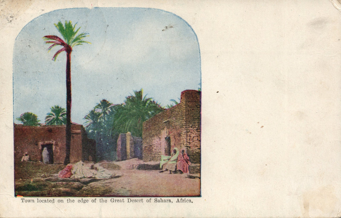 Real Photo RPPC East African Game No 5 Africa Lioness Lion Cub Feeding Postcard