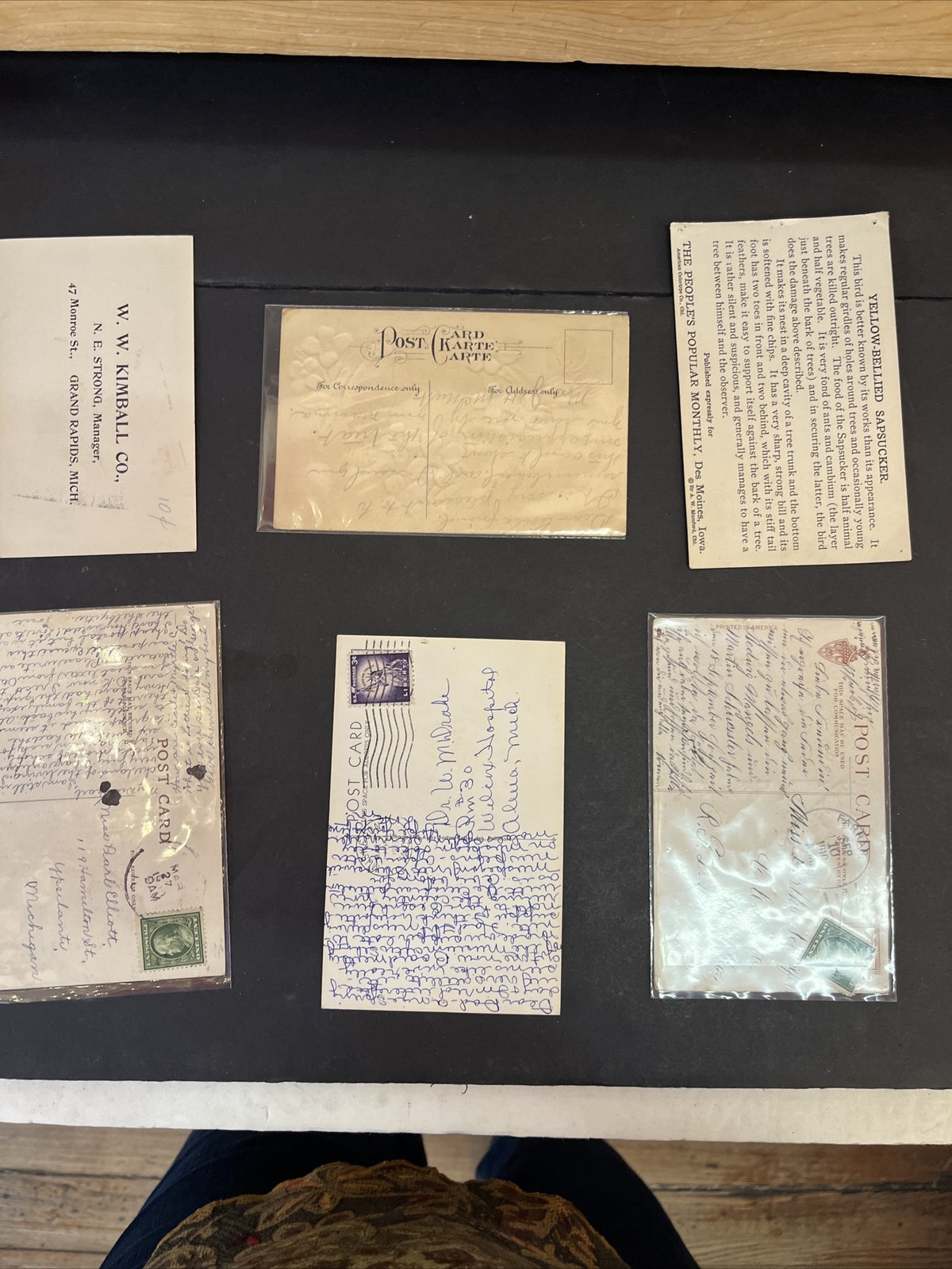 Set of 6 NEW Bird Postcards