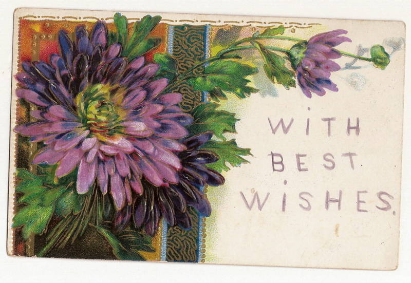 High Gloss Purple Flower Gold Gilt Best Wishes  Postcard Series 1420