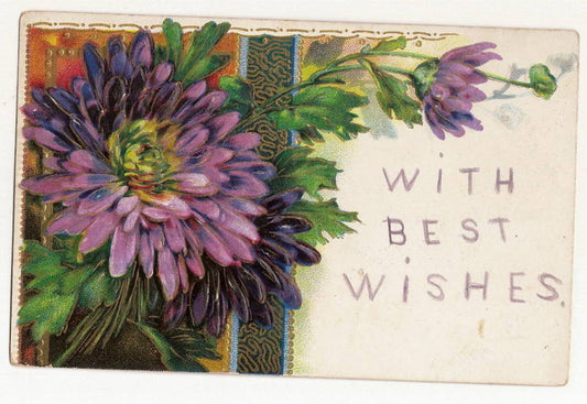 High Gloss Purple Flower Gold Gilt Best Wishes  Postcard Series 1420