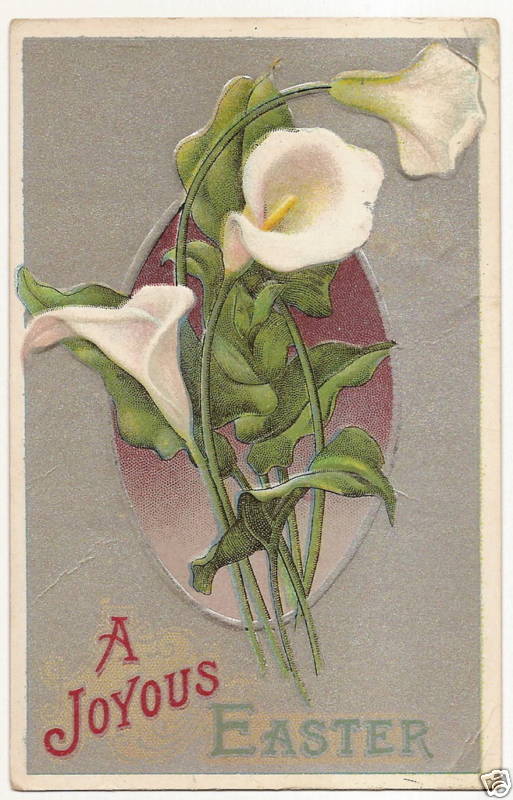 Lily Easter Flower Postcard Series 4