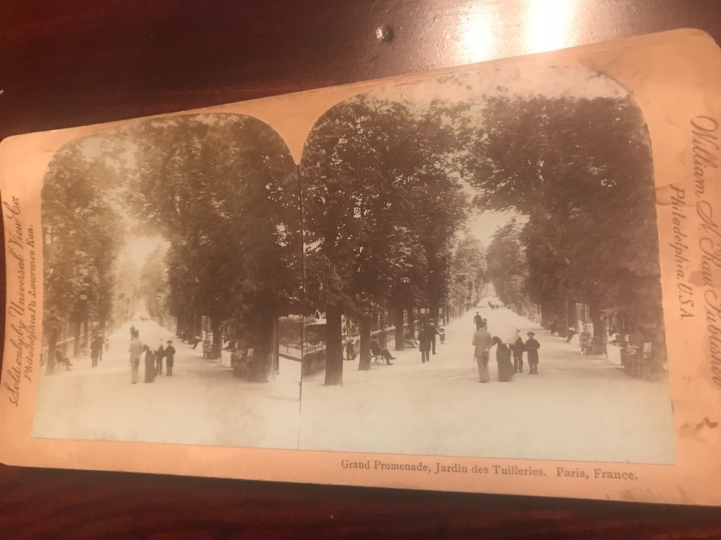 Real photo stereoview Great Promenade Jardin does Tuileries Paris France