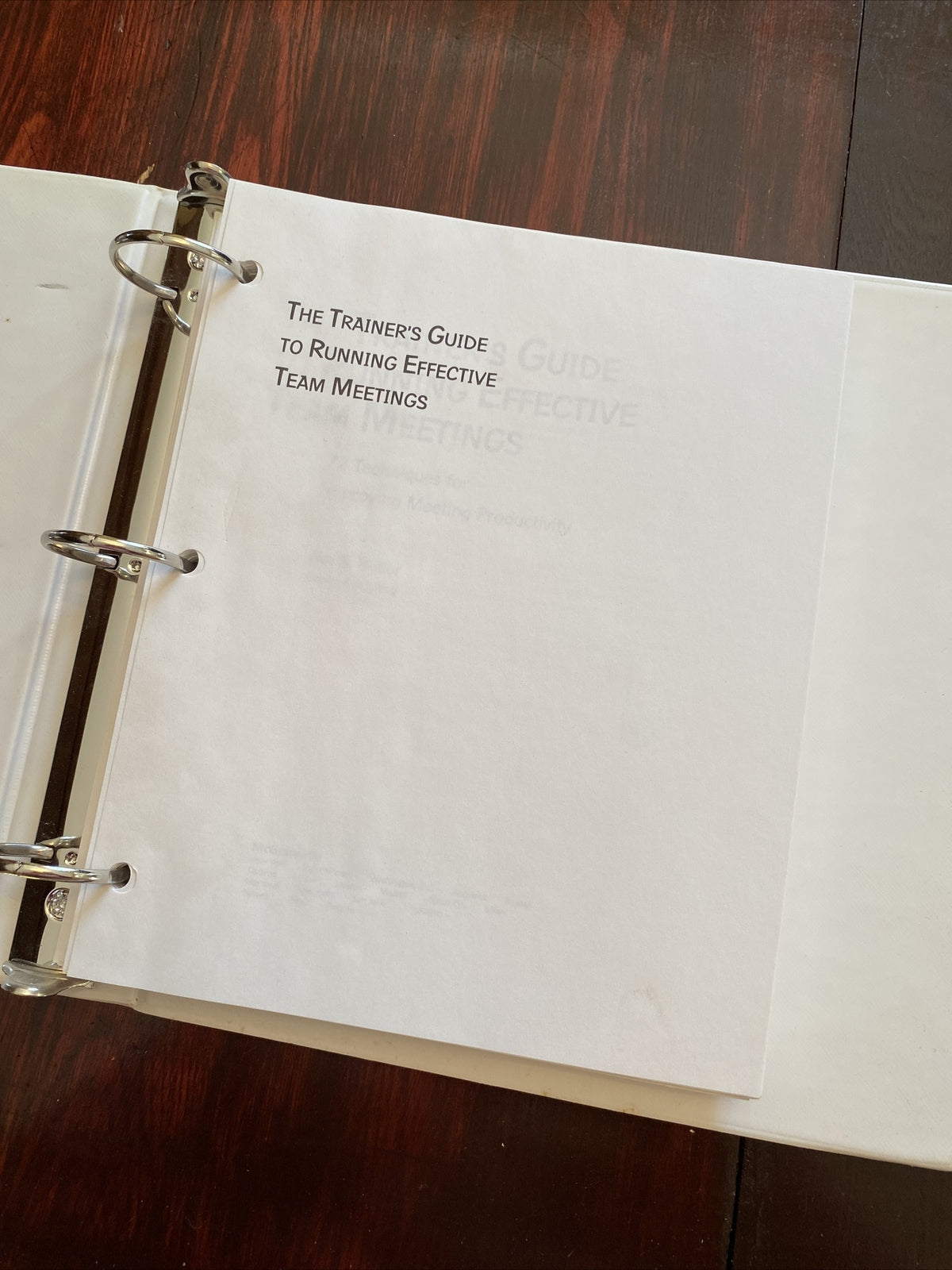 The Trainer's Guide to Running Effective Team Meetings 72 Techniques Ava Butler