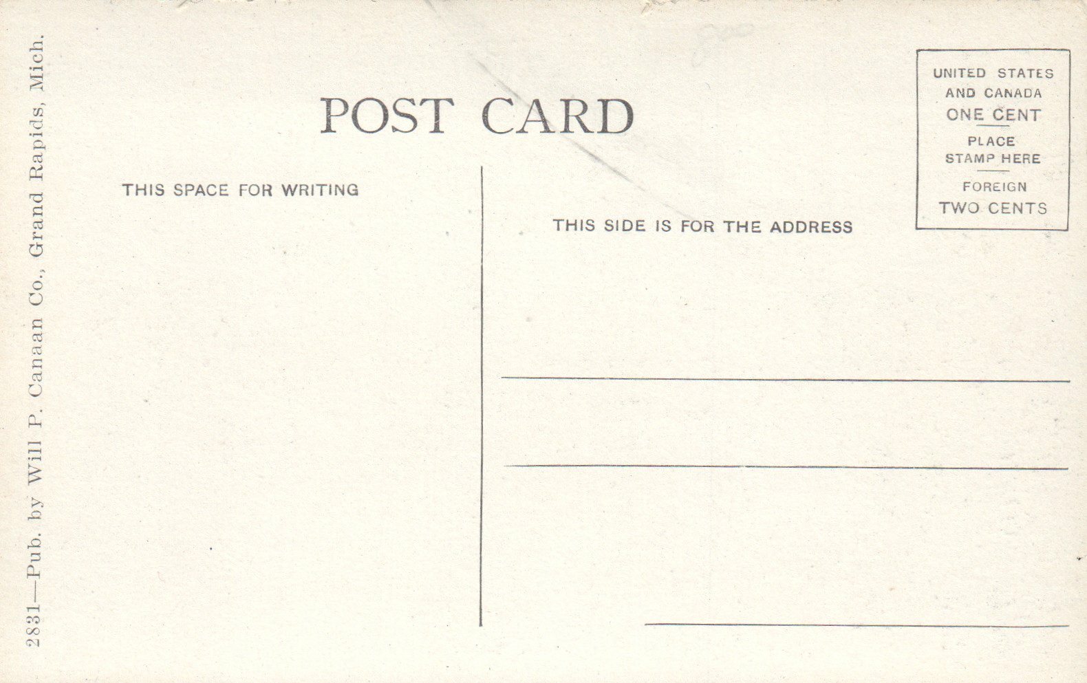 Buffaloes Tamed and Driven By WH Boyer Sunfield Michigan Mich MI Postcard