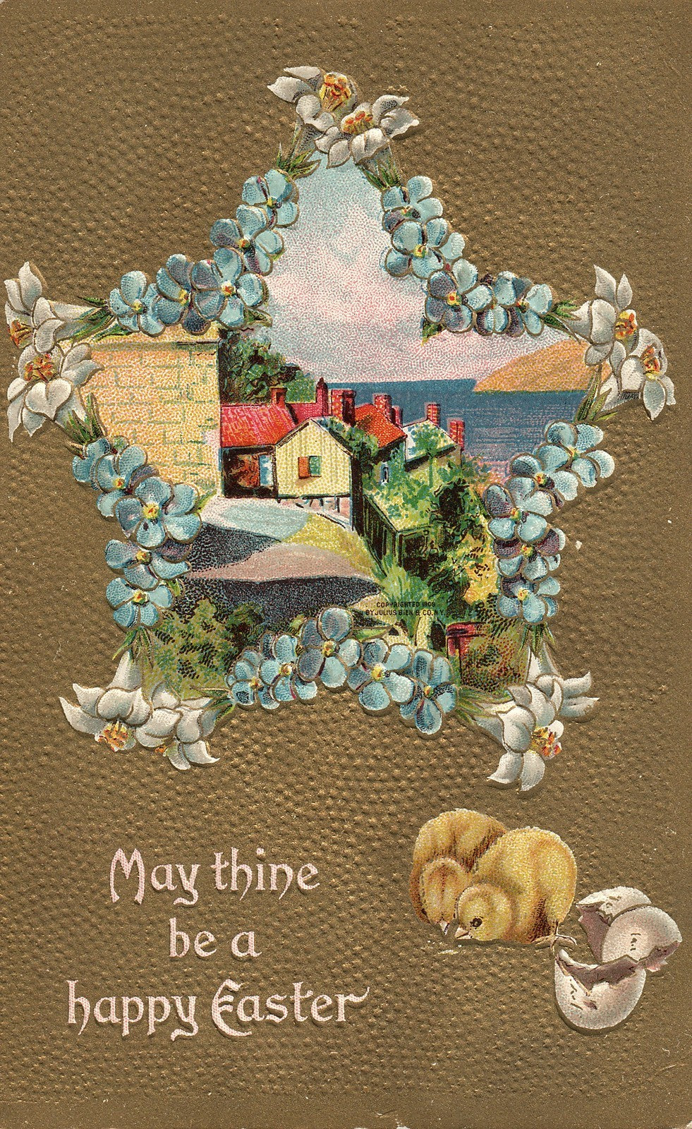 Star Forget Me Not Lillie Hatched Easter Chick Postcard