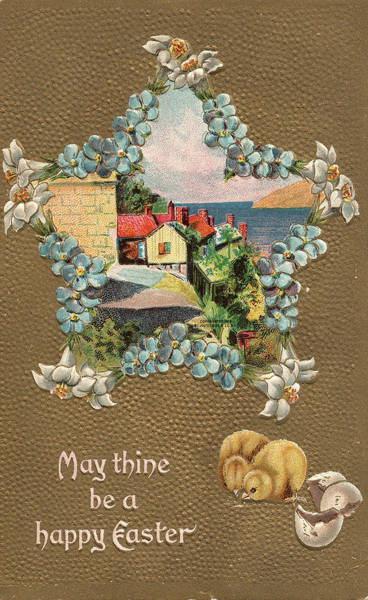 Star Forget Me Not Lillie Hatched Easter Chick Postcard