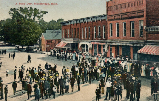 A Busy Day Stockbridge 163226 Michigan MI Postcard