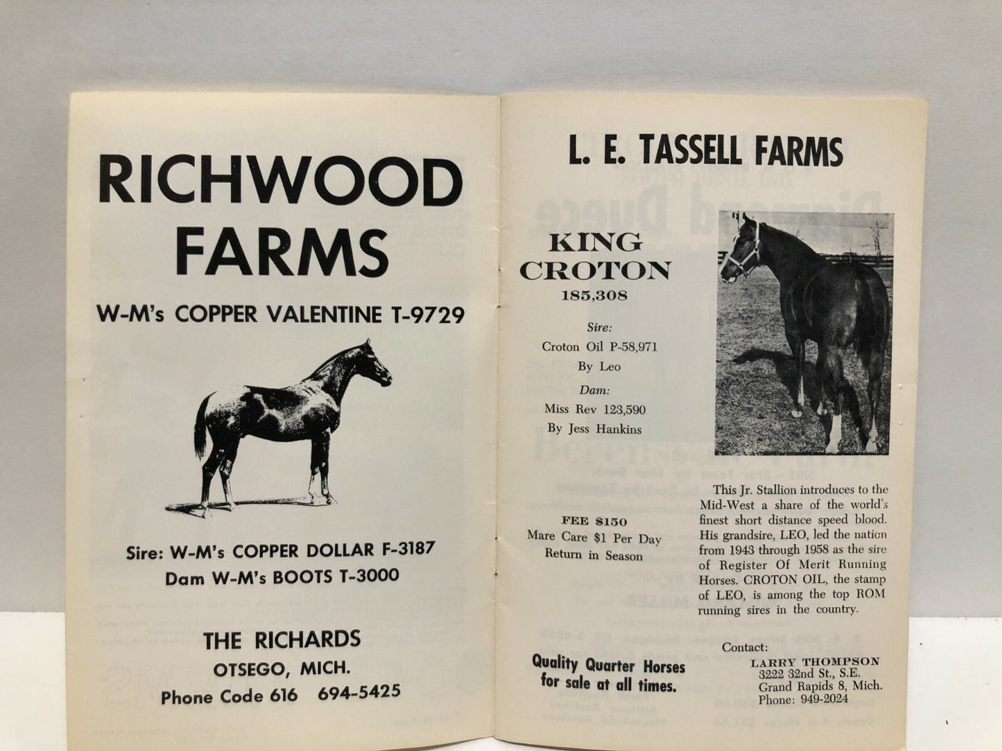 19th Annual State Show and Sale Michigan Association of Western Horse Clubs INC