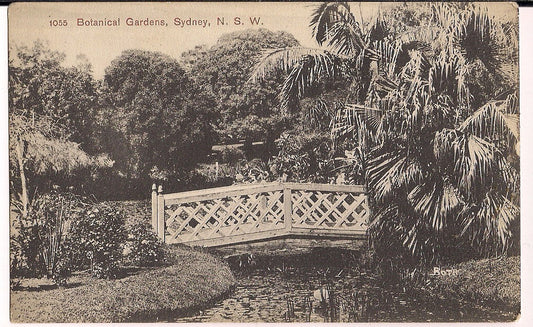 1055 Botanicalo Gardens Sydney N S W Australia Postcard