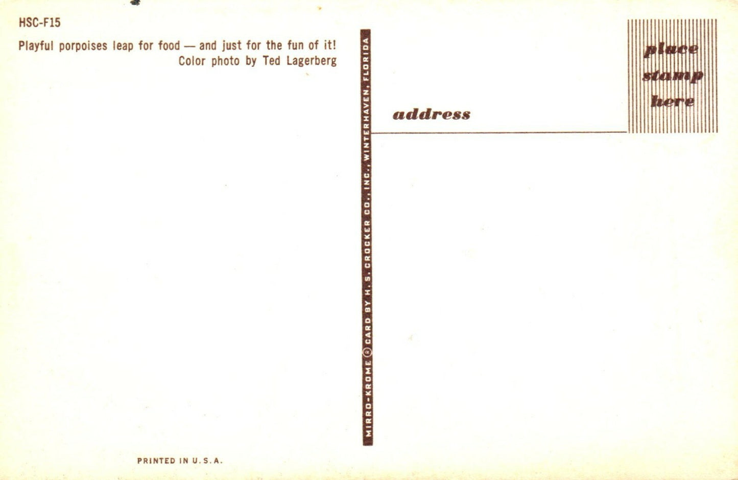 Playful Porpoises Leap For Food Marine Studios Amusement Park Postcard