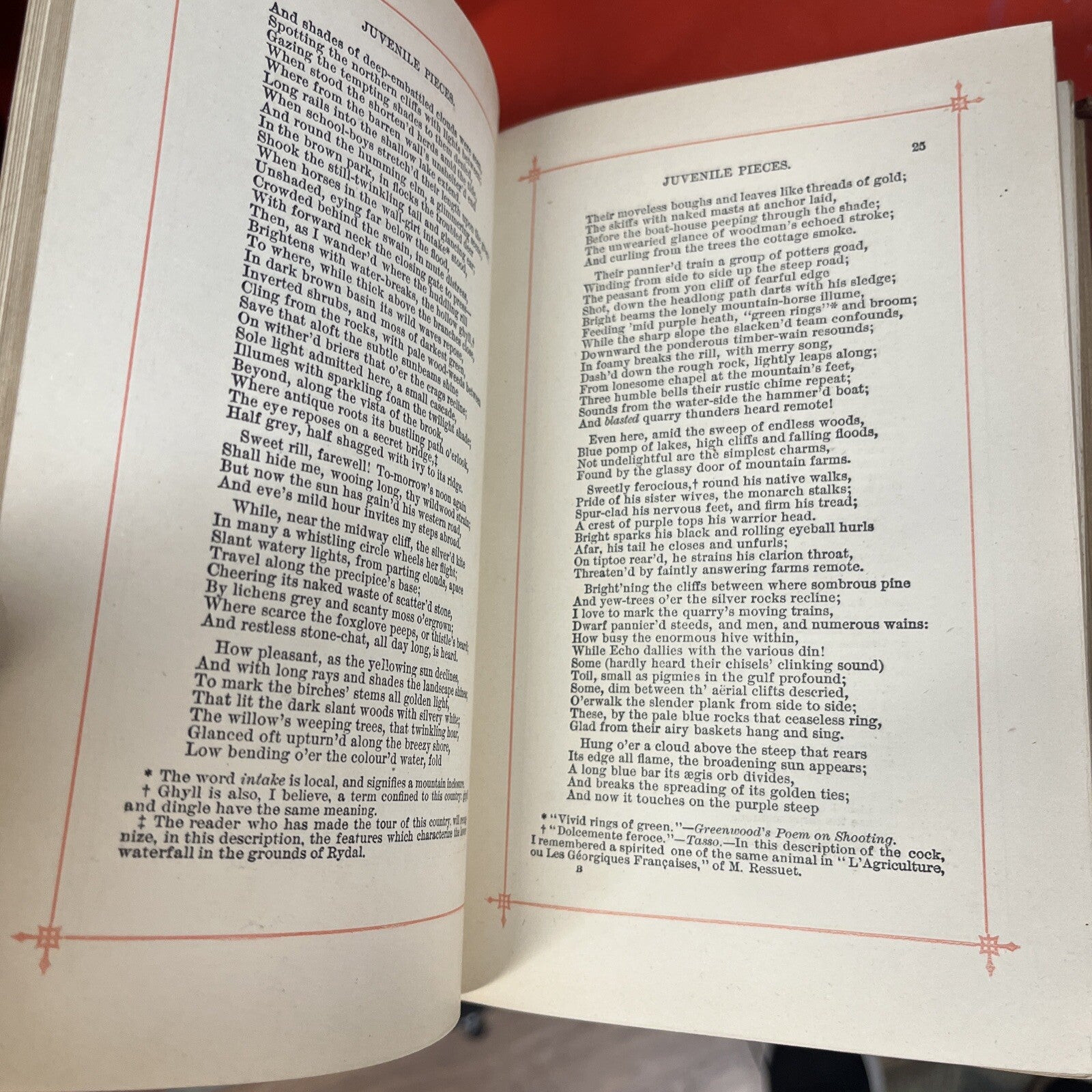 The Poetical Works Of William Wordsworth Complete Excelsior Edition Antique Book