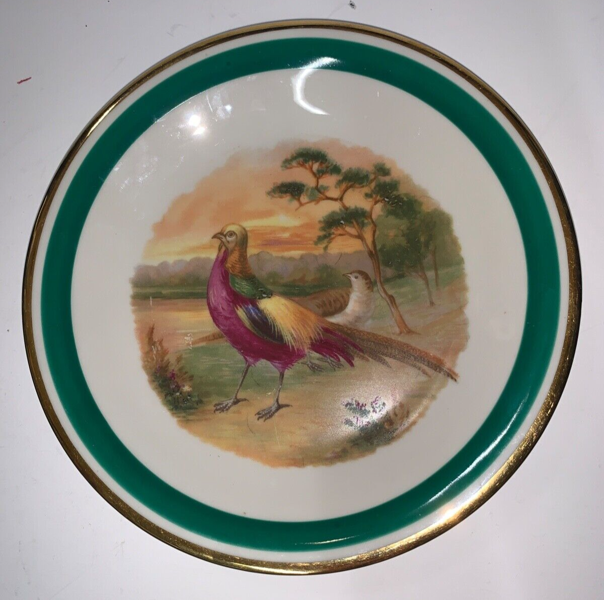 8in Porcelain German Pheasant Bird Plate Schwarzenhammer Germany Vintage Plate