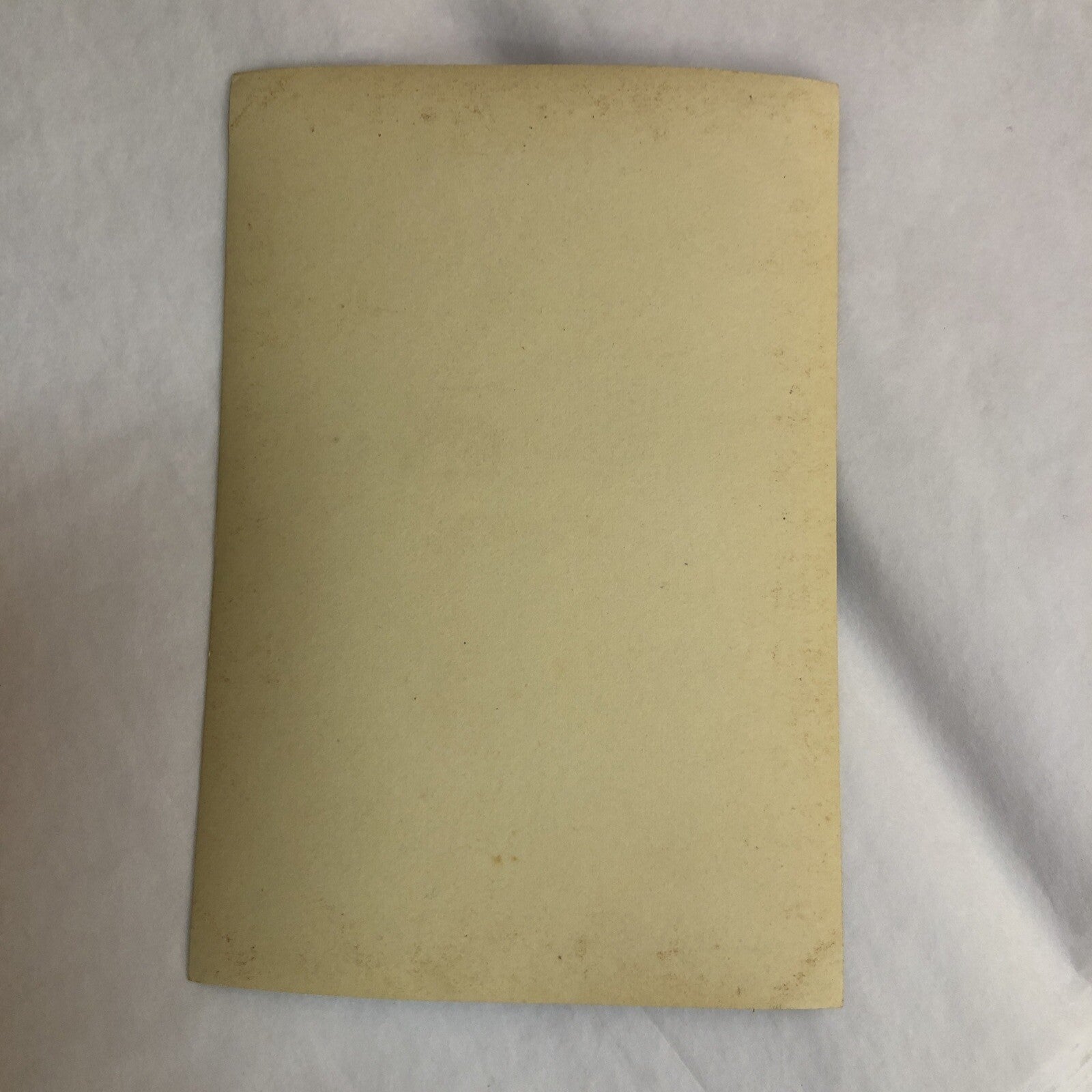 Real Photo 3-1/4 x 4-3/4" Baby Sitting in Baby Seat over Caned Chair 