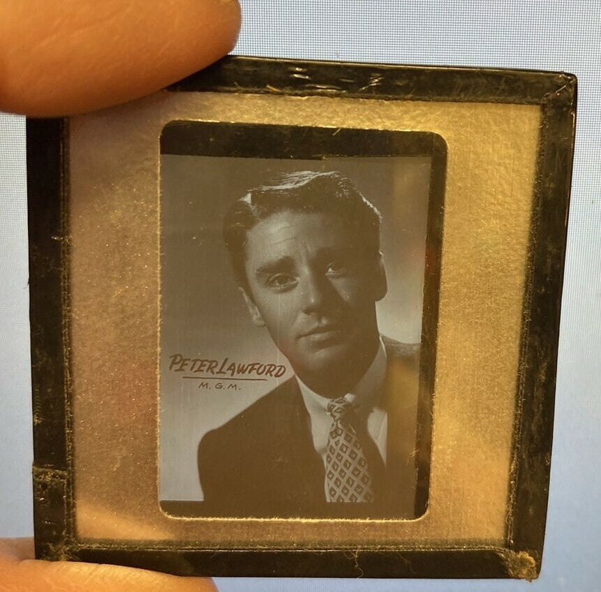 Peter Lawford Original 2 x 2 black white slide Hollywood MGM Promotional photo  
