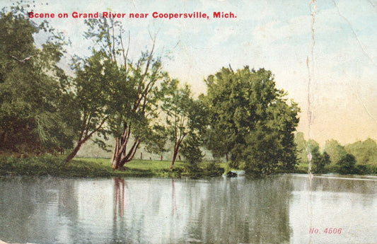 Scene on Grand River Near Coopersville MI Michigan Postcard