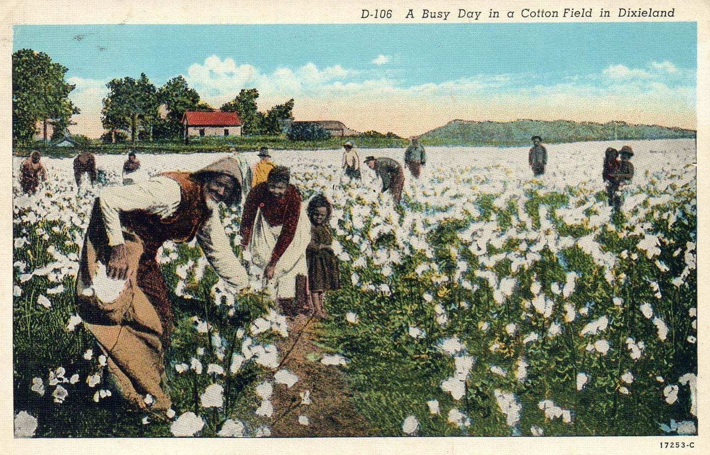 A Busy Day in a Cotton Field in Dixieland Black Americana Postcard