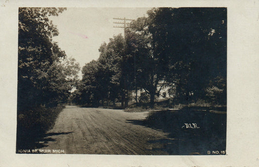 1908 Real Photo Ionia Street Muir Michigan MI Postcard B No 15 BLR