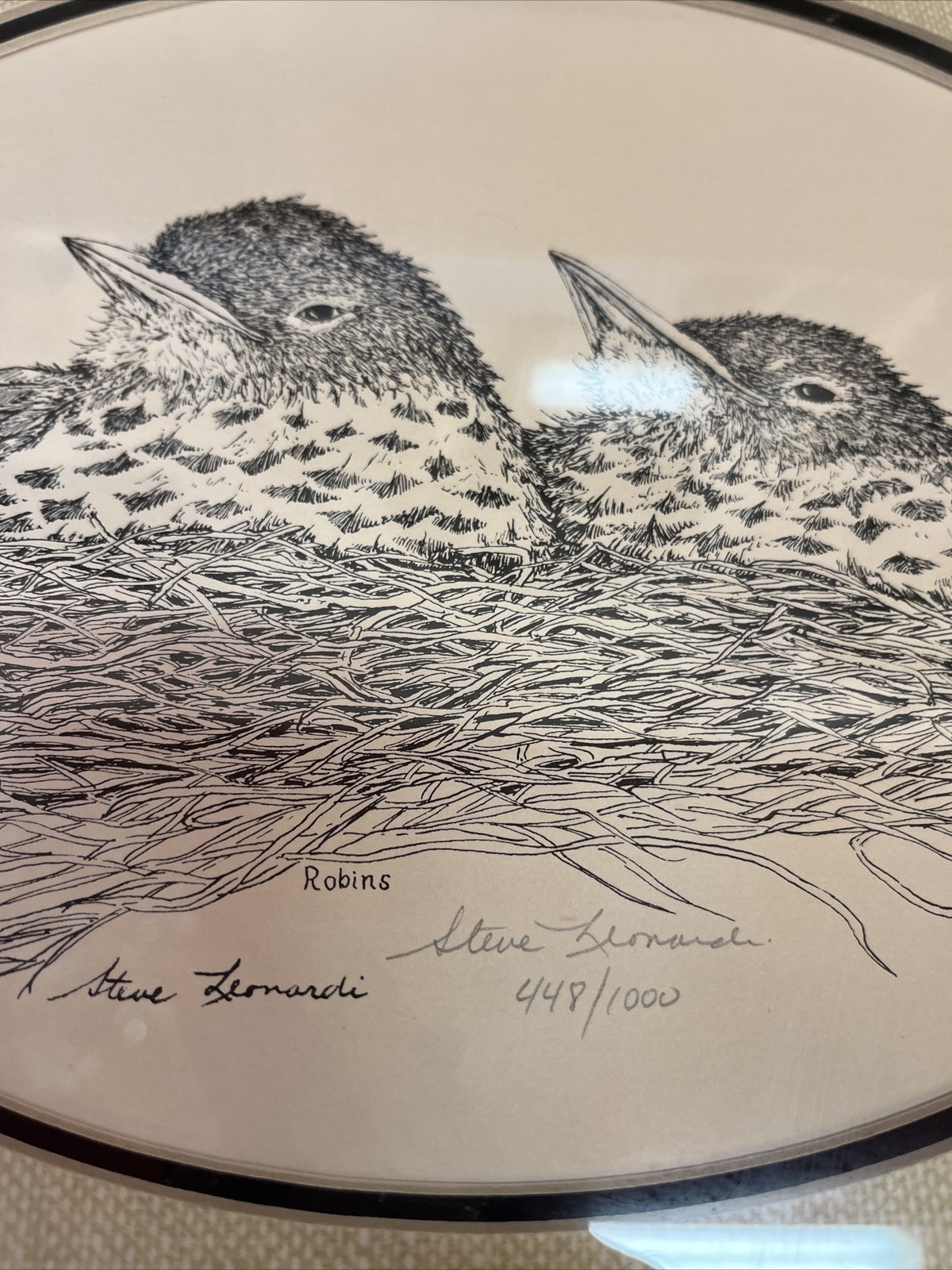 Framed Steve Leonardi Wildlife Graphics ~Robin~ Signed & # Limited Edition Print