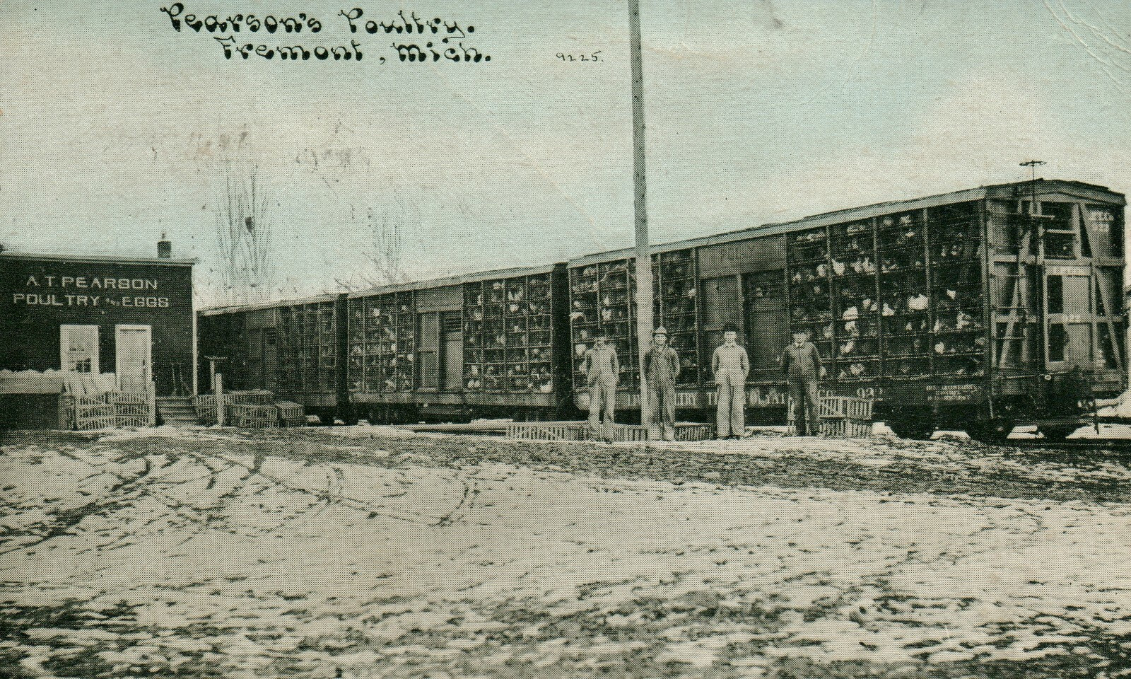 1906 Pearson's Poultry Fremont Mich Michigan MI