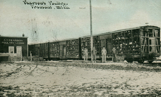 1906 Pearson's Poultry Fremont Mich Michigan MI