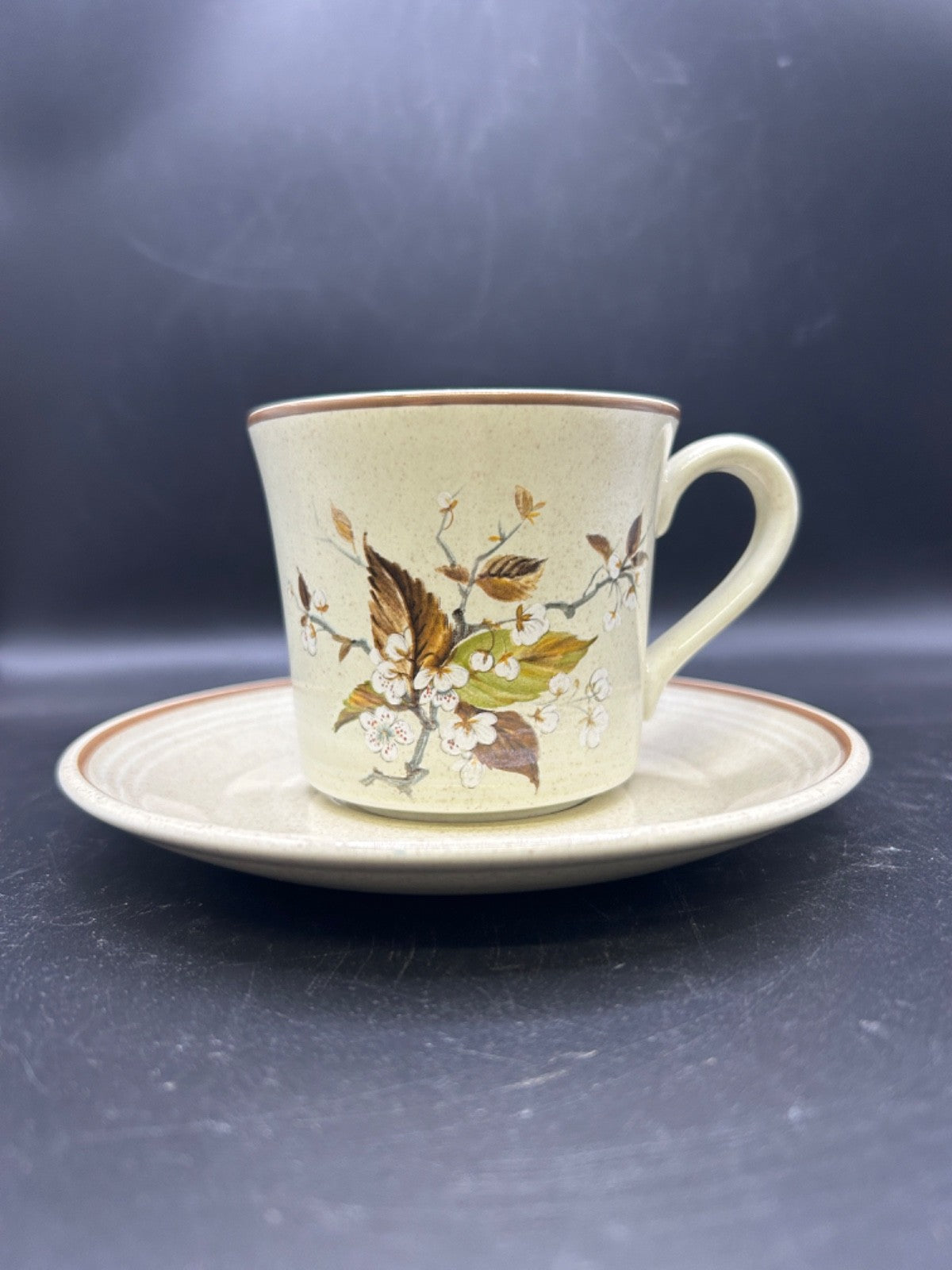 Royal Doulton WILD CHERRY Cup & Saucer Made in England Lambethware 1979