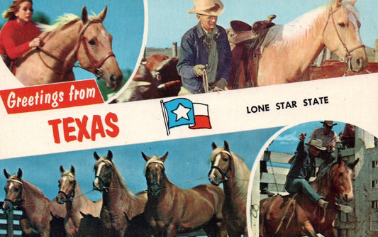 Greetings From Texas Lone Star State Horses Tex Texas TX Postcard