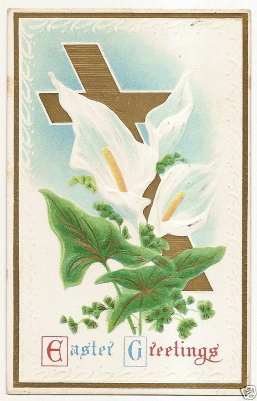 Lily Easter Postcard Series Flower