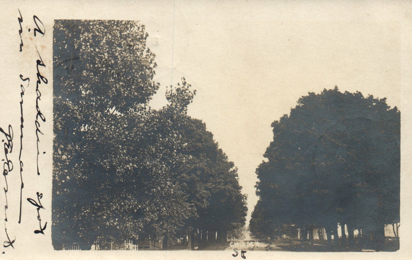 Real Photo Church Street Saranac Mich MI Michigan Vintage Postcard 