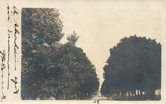 Real Photo Church Street Saranac Mich MI Michigan Vintage Postcard 