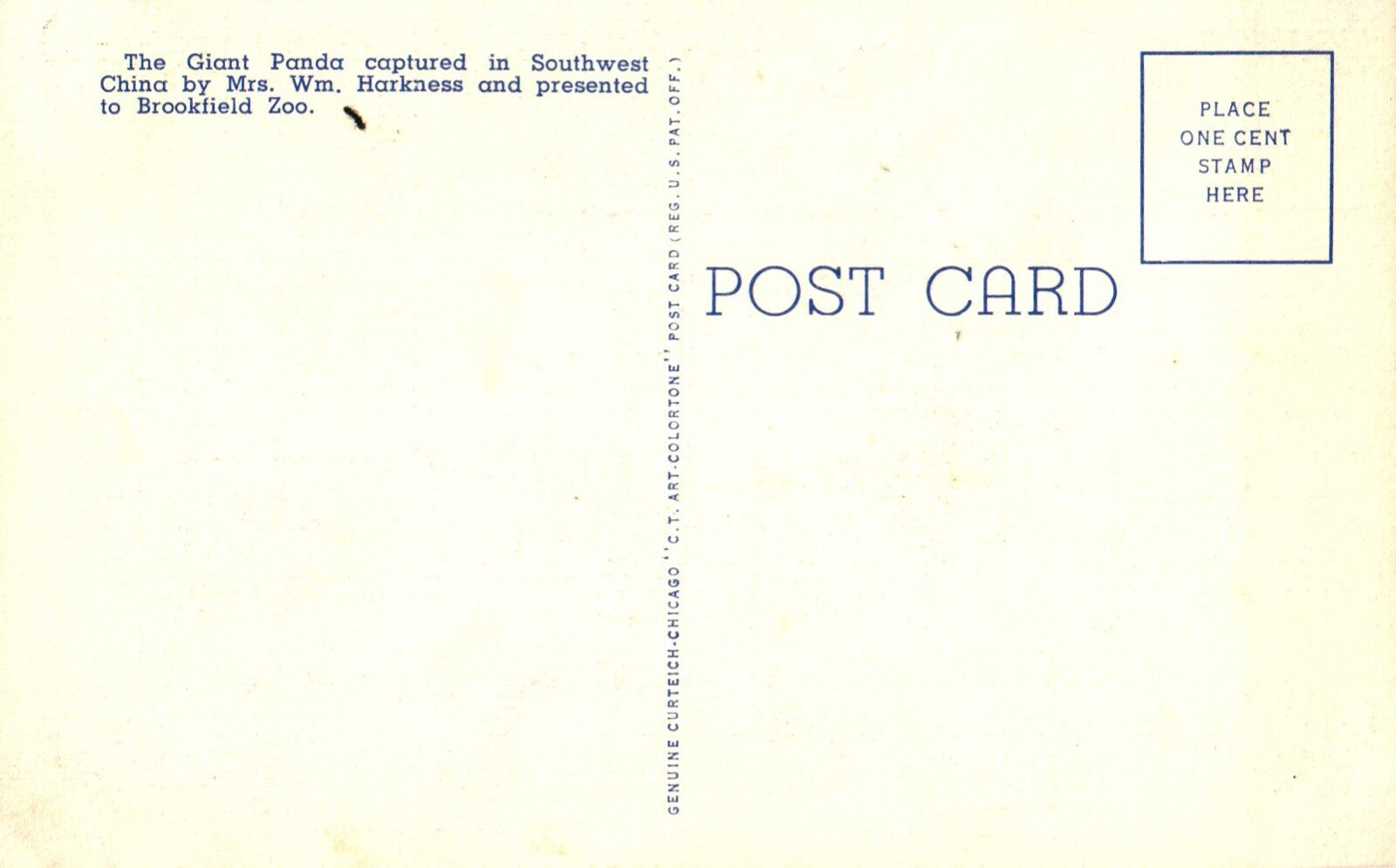 Giant Panda on Log in Chicago Brookfield Zoo Vintage Panda Bear Animal Postcard