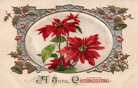 Vintage John Winsch A Joyful Christmas Silk Christmas Poinsettia Postcard