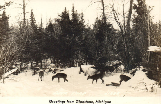 Greetings From Gladstone Deer Snow MI Michigan Mich Postcard