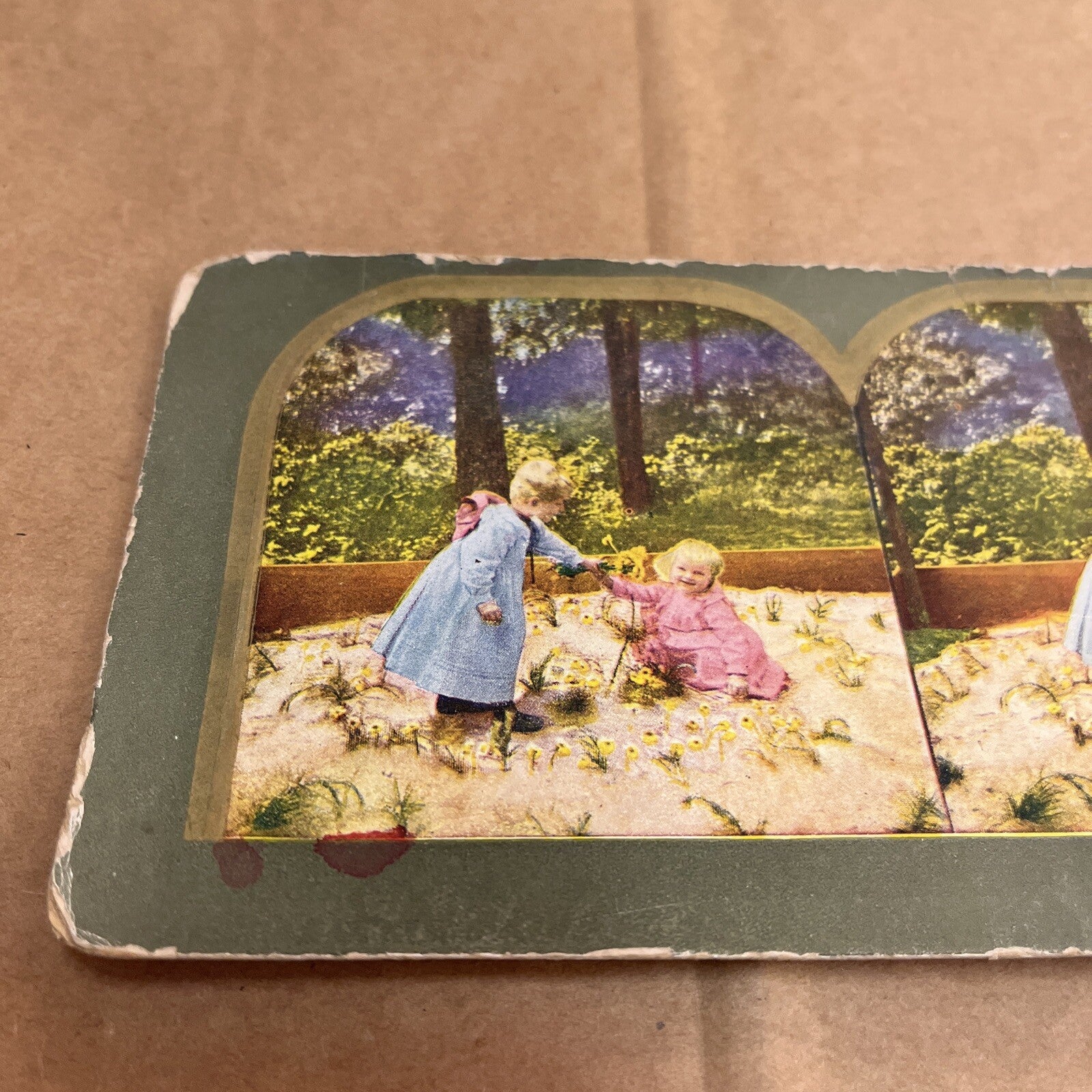 LANDSCAPE GARDENING KIDS, POLYCHROME STEREOVIEW Color Card