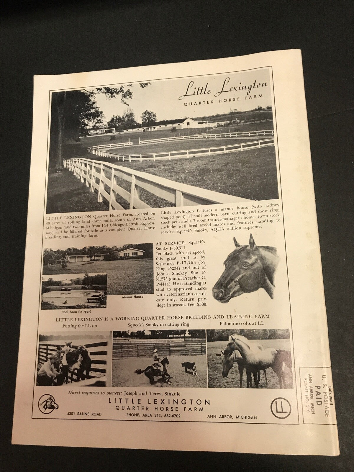 Michigan Horse Show Association Blue Book 1965 Eleventh Annual Edition 