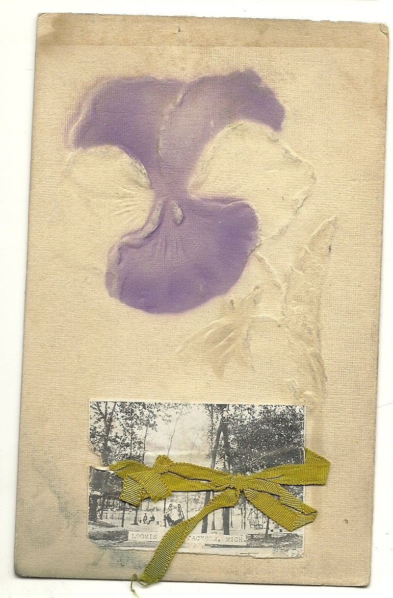 Loomis Park Jackson MI Michigan Purple Flower Greeting  Postcard