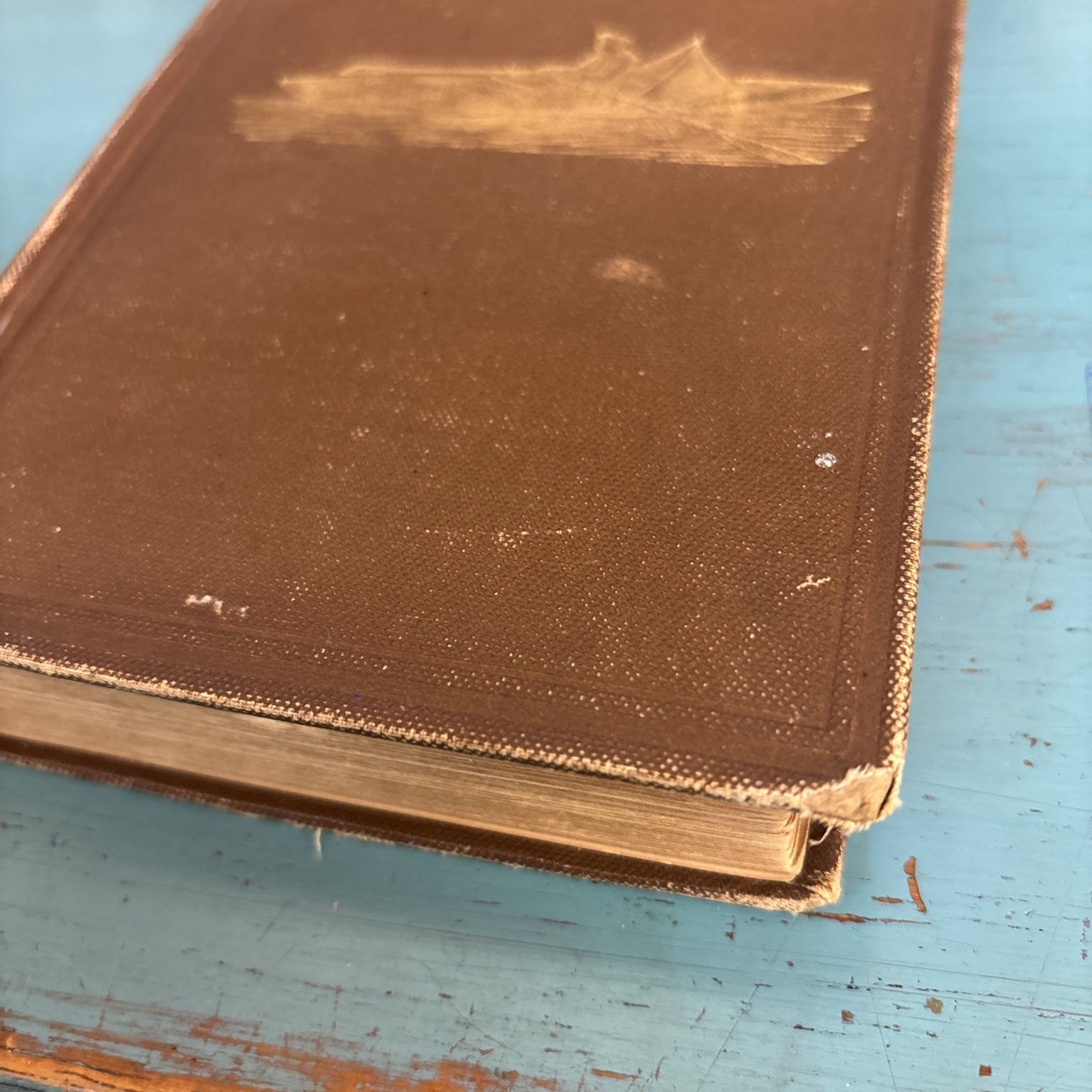 RARE Four Months In A Sneak Box By NH Bishop 1879 First Edition Illustrated