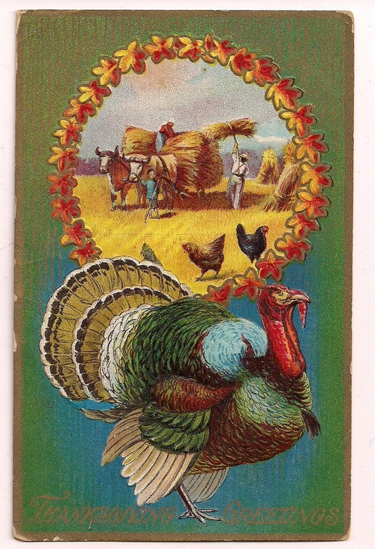Famers with Oxen Pulling Wagon of Hay Chickens Turkey Thanksgiving Postcard