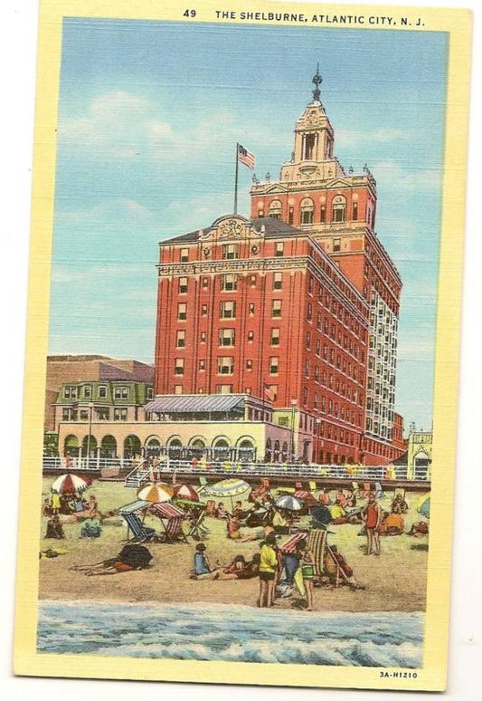 The Shelburne Atlantic City NJ New Jersey Postcard