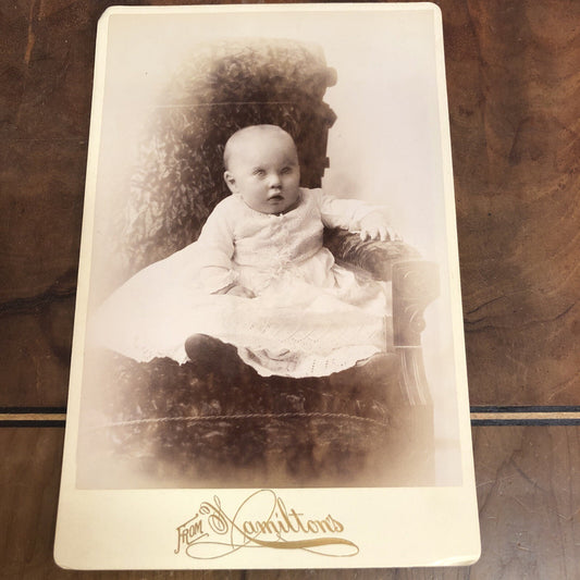 Victorian Real Photo CDV Child Baby from Hamiltons