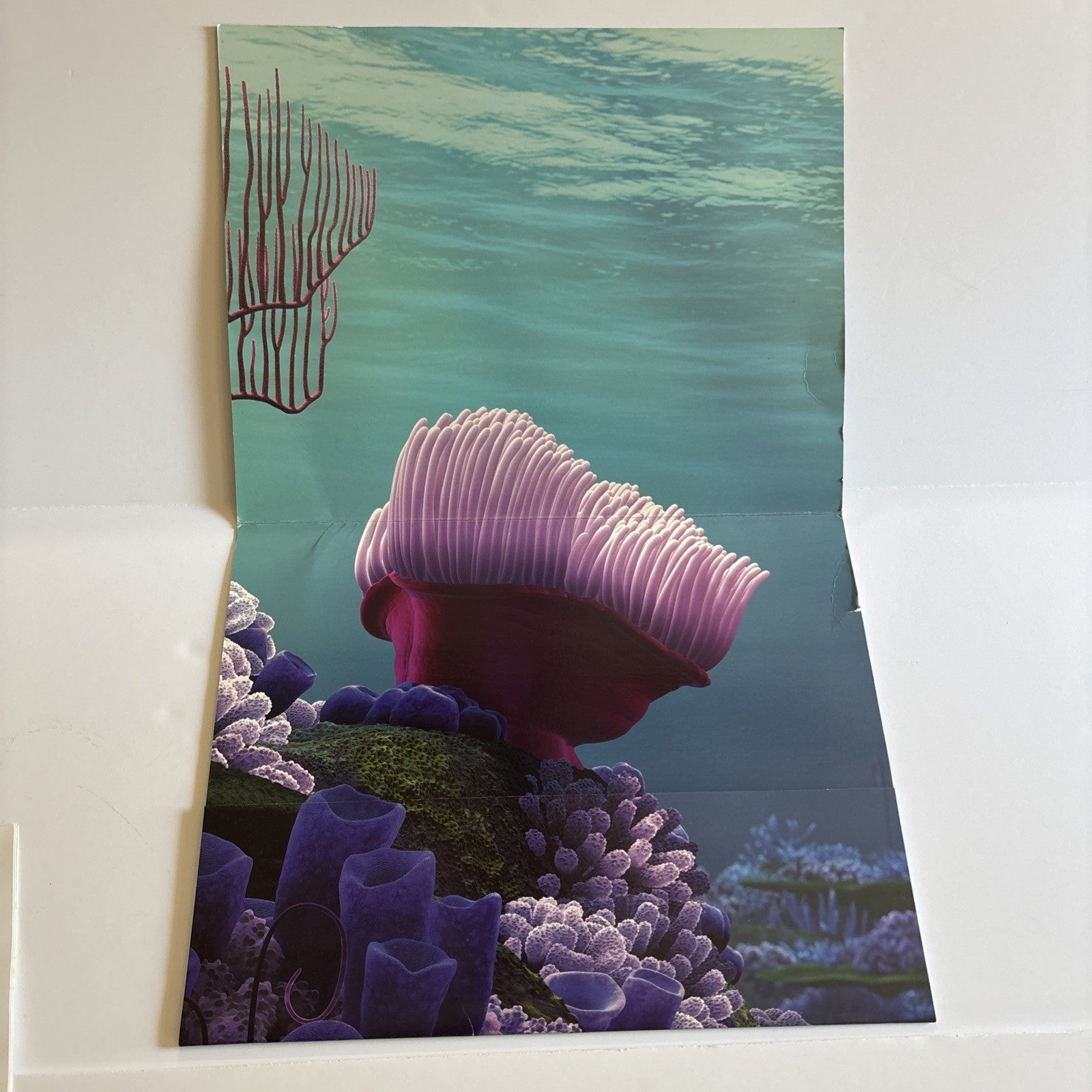 Finding Nemo Lithograph set of 4 Walt Disney Pixar