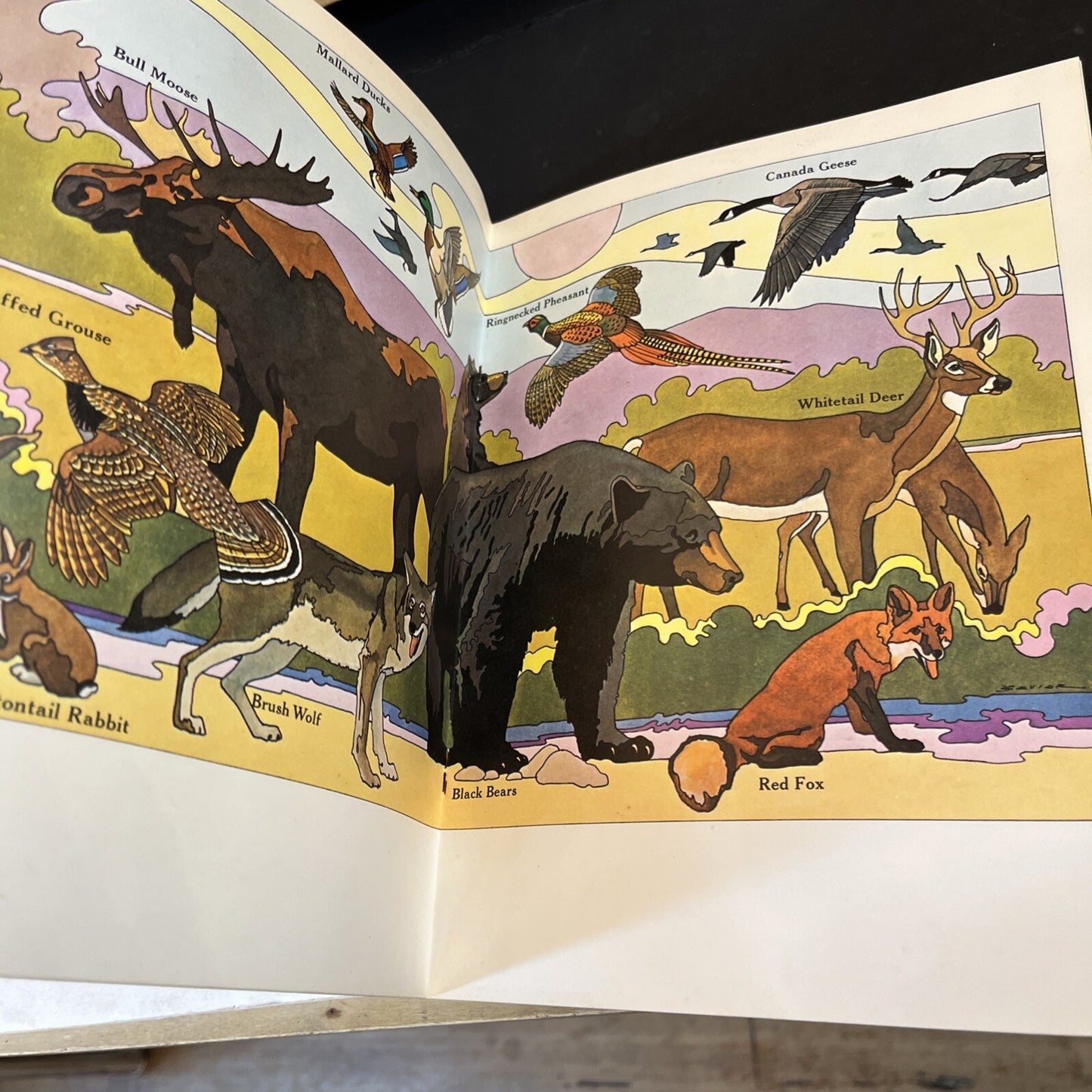 Ontario Hunting Guide ????? edition