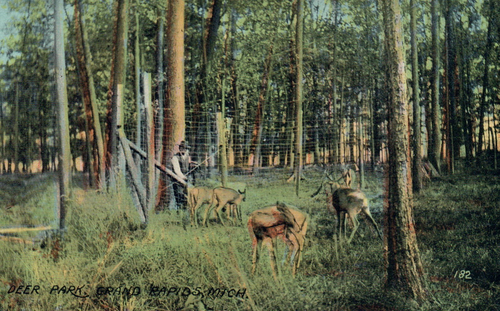 Deer Park, Grand Rapids, Michigan MI Postcard