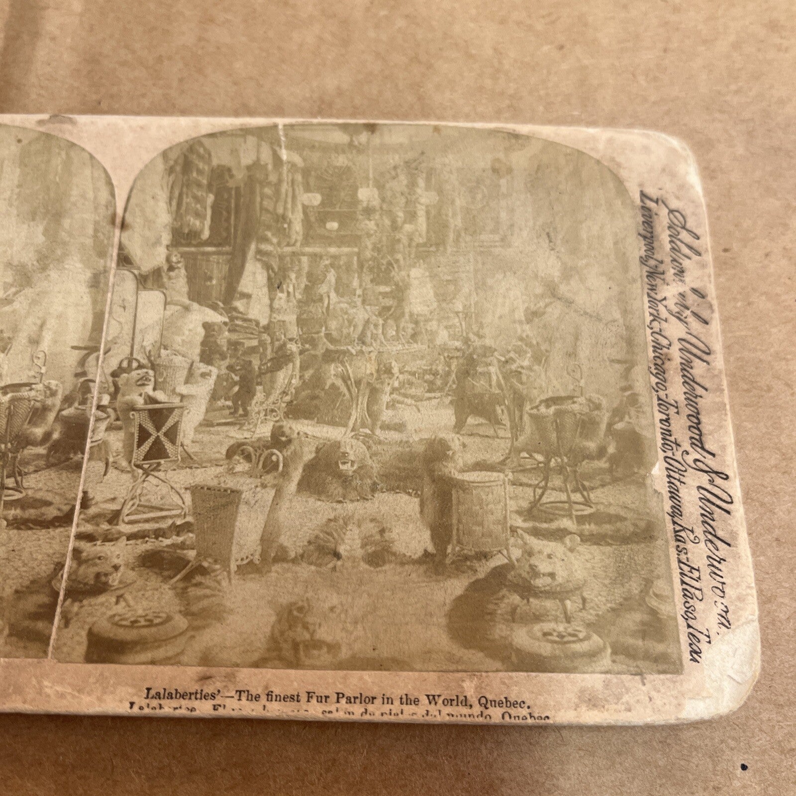 THE FINEST FUR PARLOR IN THE WORLD, QUEBEC. POLYCHROME STEREOVIEW Color Card