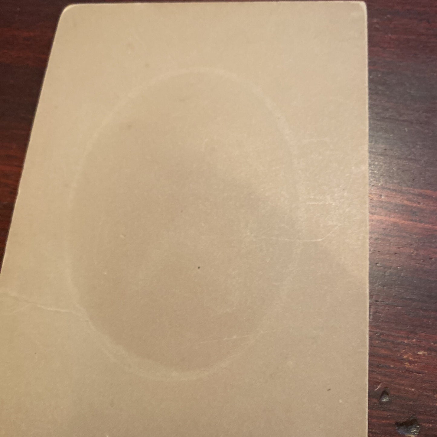 Victorian Real Photo Cabinet Card Rockford Michigan MI R A Utter Rockford MI 