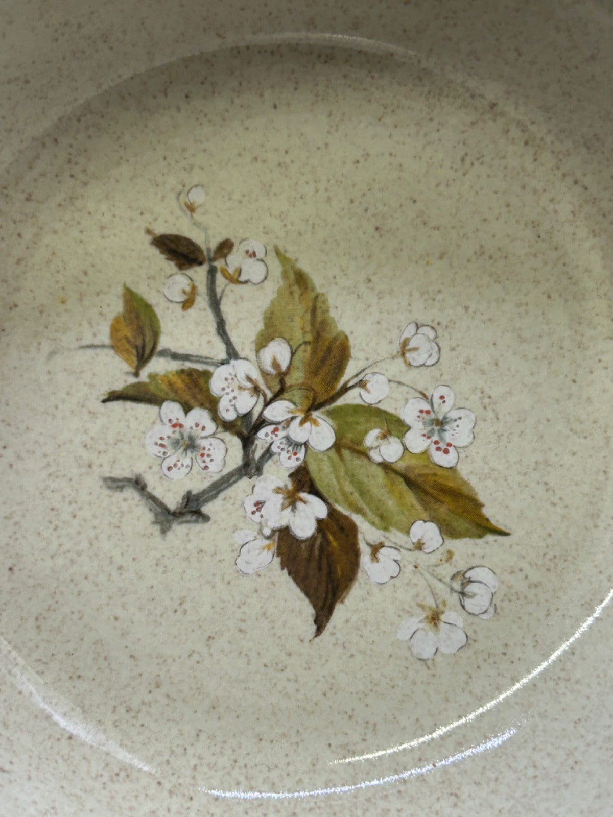 Royal Doulton WILD CHERRY 8 Soup Bowls Made in England Lambethware 1979